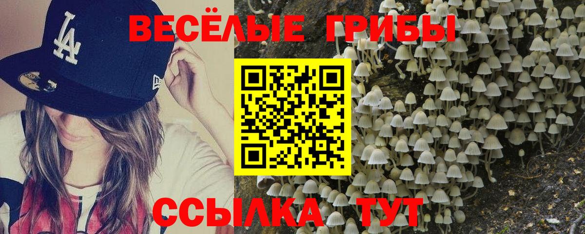 купить наркоту  Вход с VPN  Тверь  Галлюциногенные грибы Psilocybine cubensis 